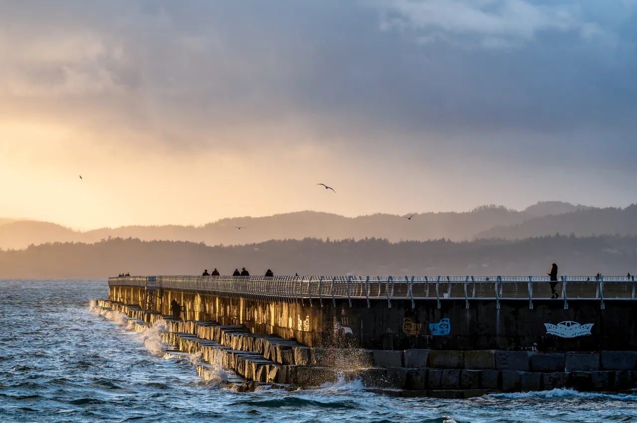 Water landscape with breakwater - 2
