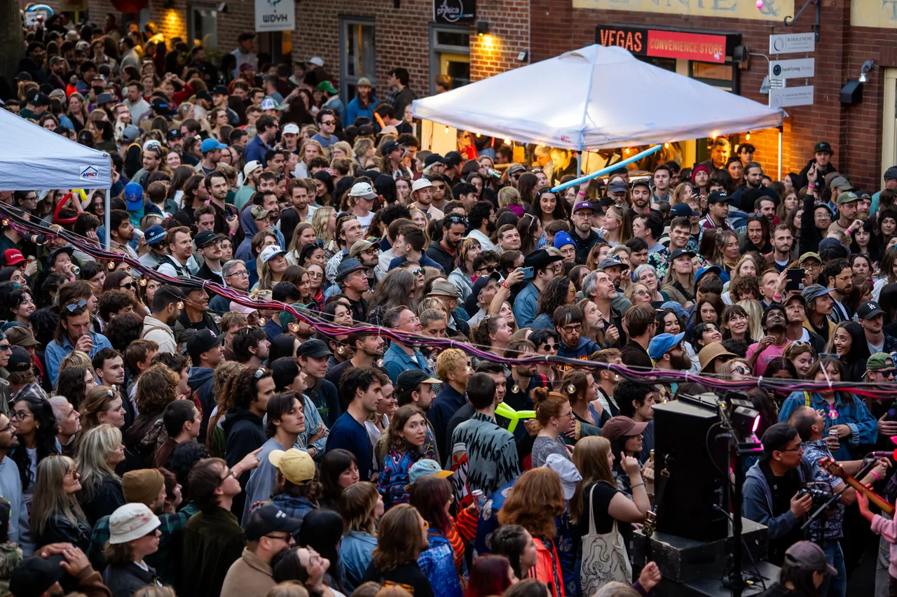 Fernwood Crowd at Concert