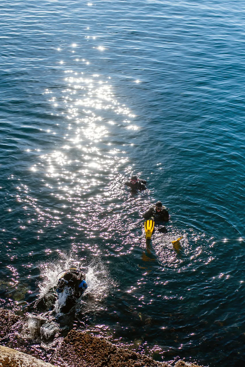 Snorkellers in Water on Sunny Day at Breakwater District