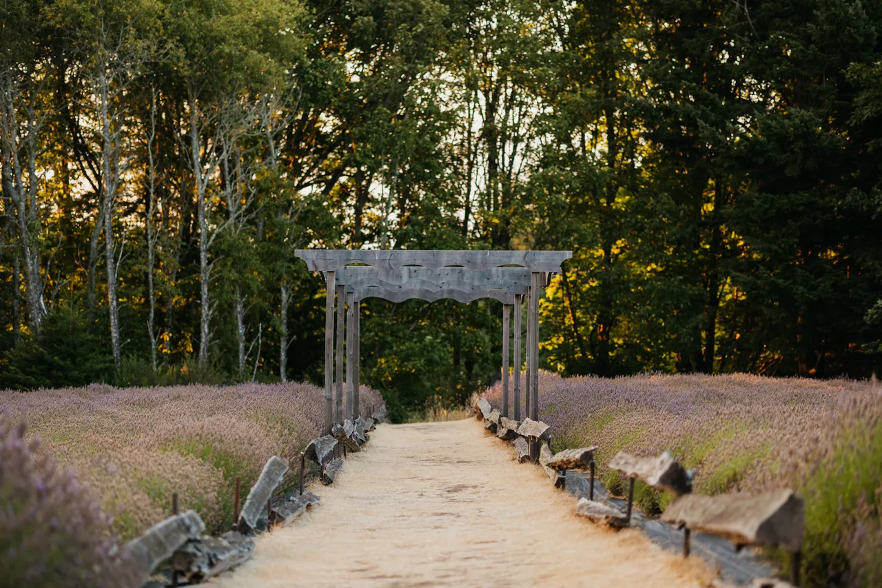 Pathway through lavender fields beneath wooden archway