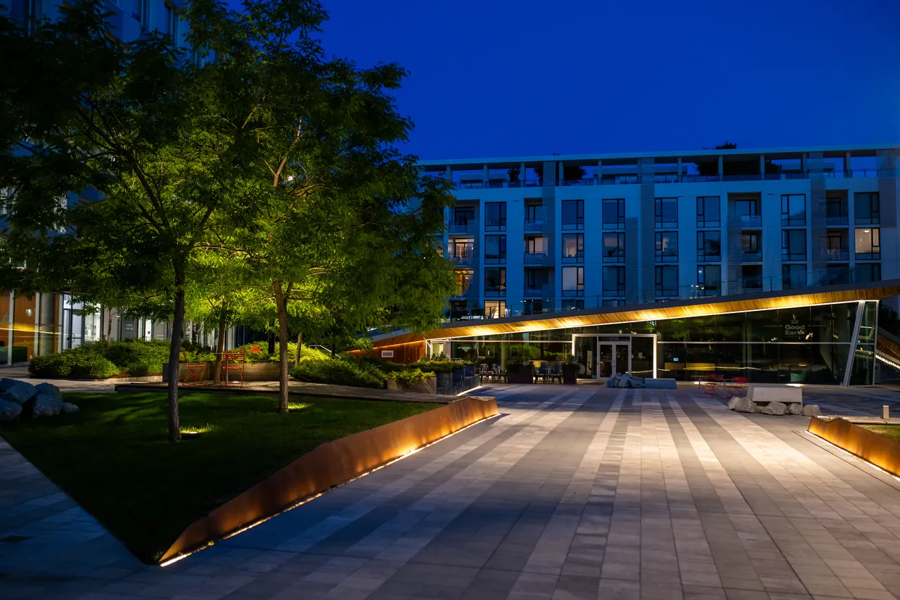 Downtown Building at Night near Trees
