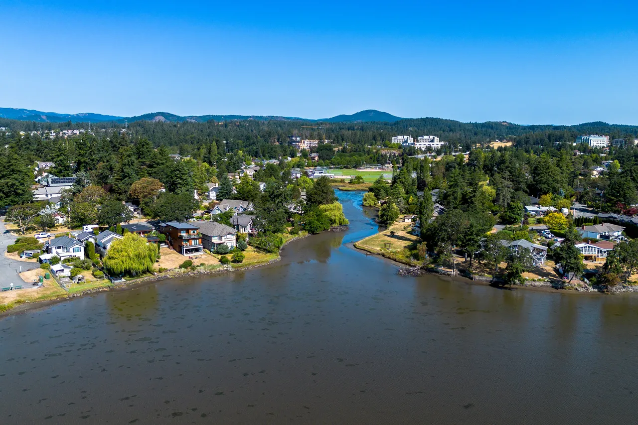 Aerial Photo of Water, Trees and Housing with Mountain in the Background