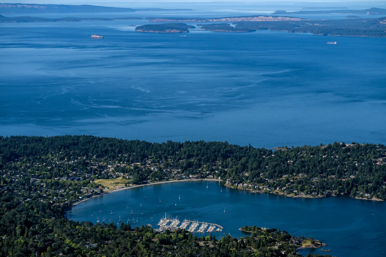 Cadboro Bay Aerial with Large Ocean