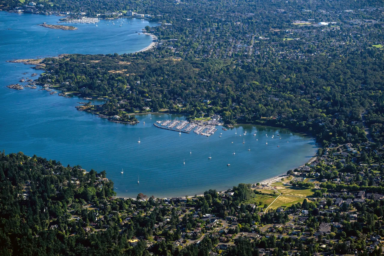 Cadboro Bay Aerial with Trees near UVic