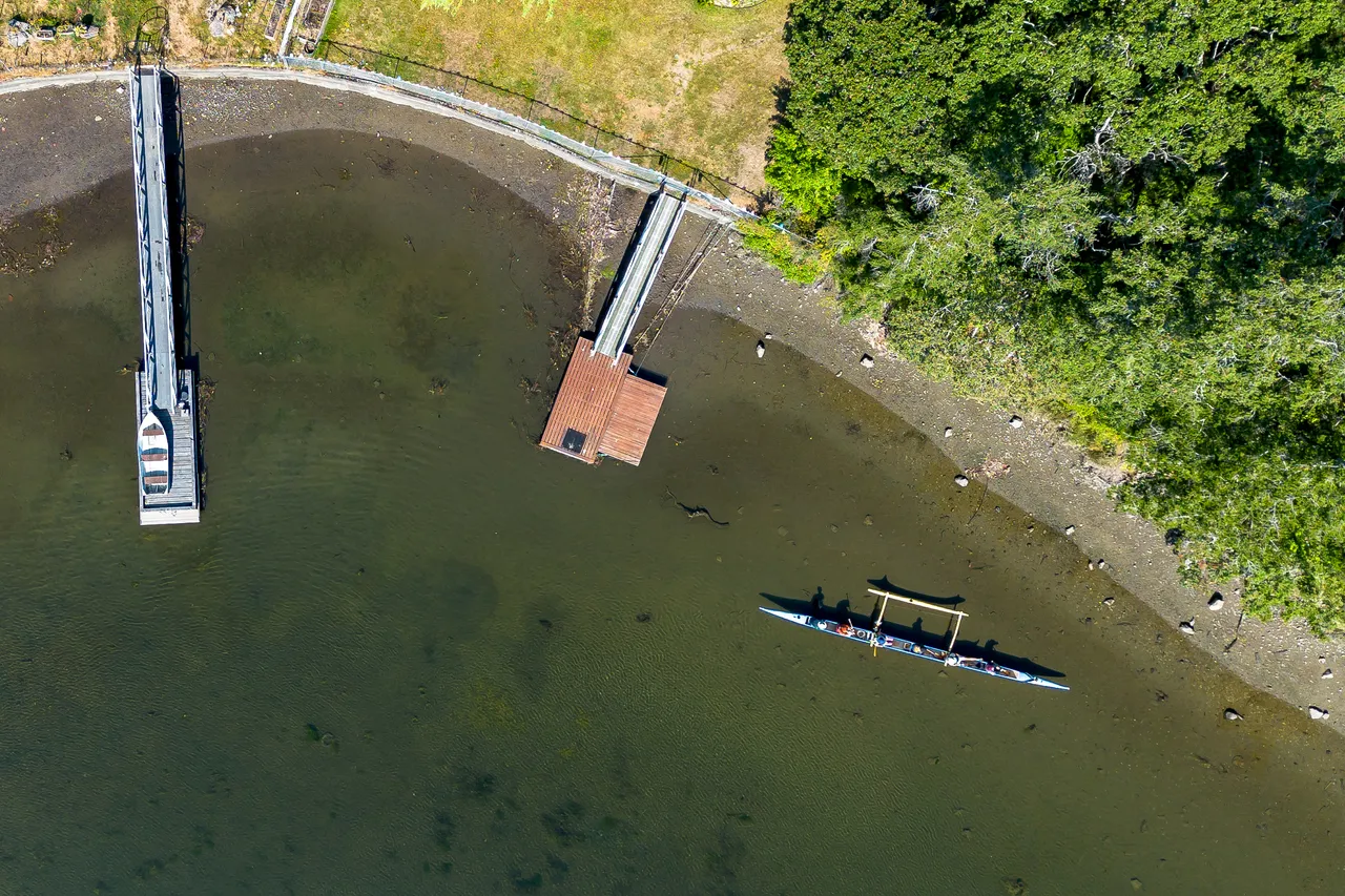 Aerial Photo of Dock with Canoe and Trees Nearby During Day