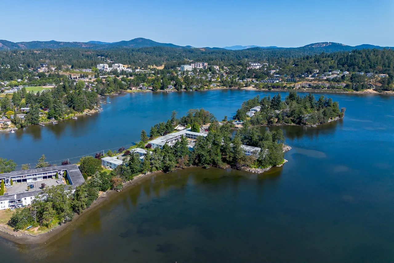 Aerial Photo of Water and Trees with Mountains in Background