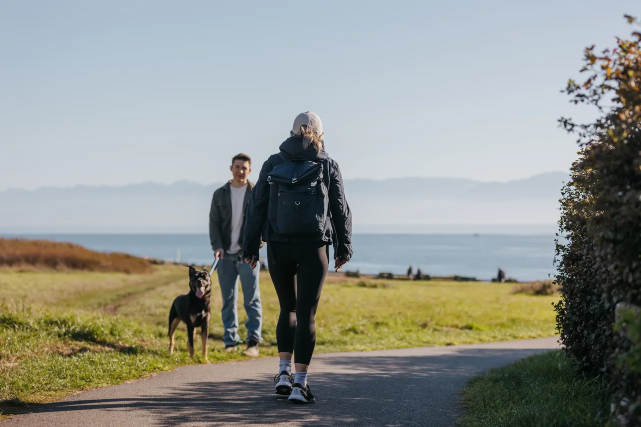People walking with dog - 1