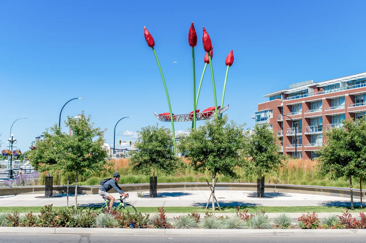 Cycling by tulip sculpture - 3 - Victoria