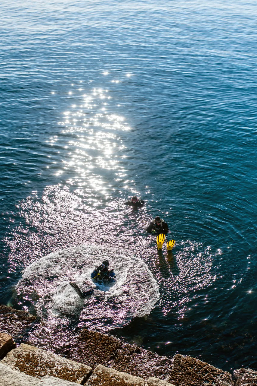 Snorkellers in Water on Bright, Sunny Day at Ogden Point