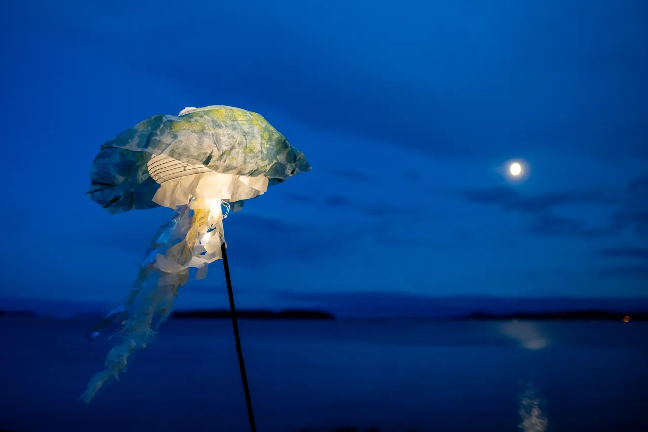 Jellyfish lantern glowing at twilight with the moon low above the horizon