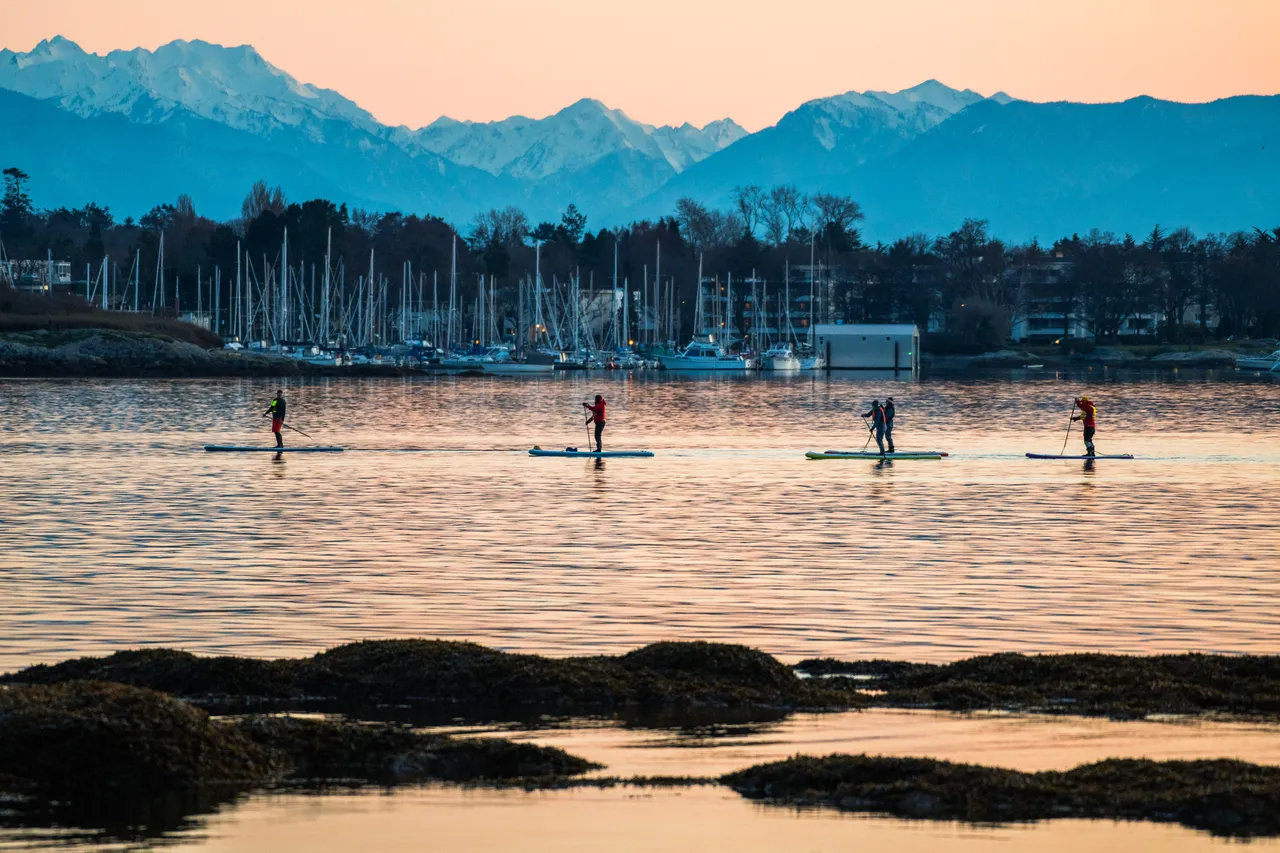 People paddleboarding