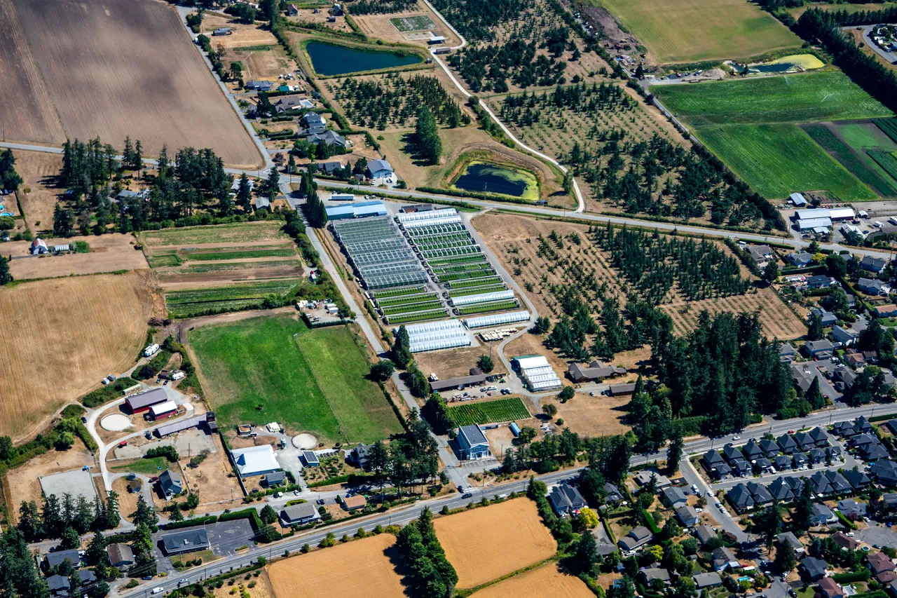 Aerial Photo of Fields, Trees and Farmland on a Summer Day