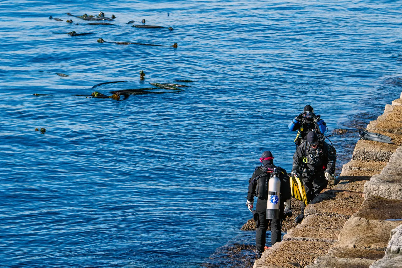 Snorkellers Out of Water at Breakwater on Bright Day