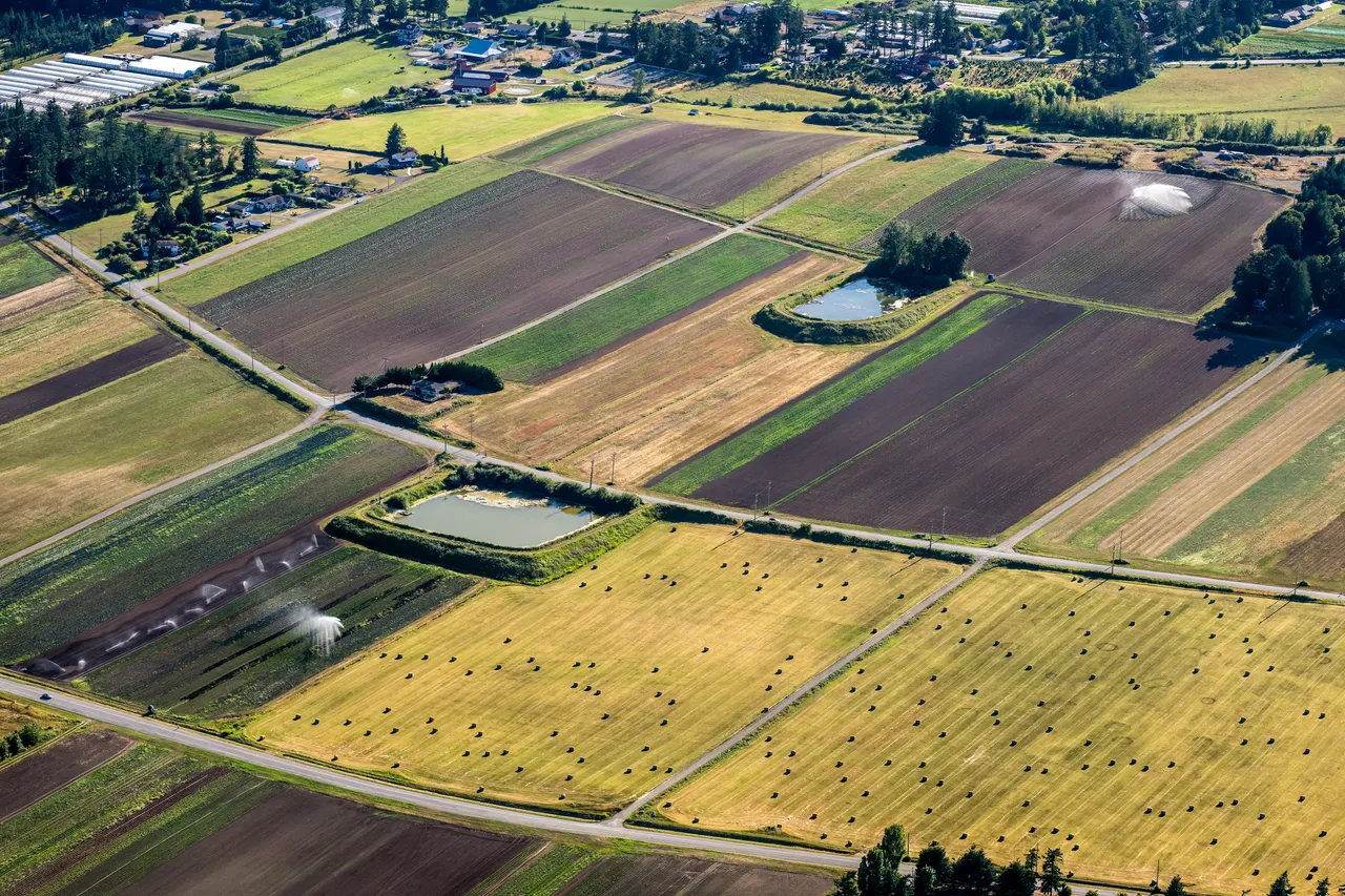 Saanich looking South with Farmland