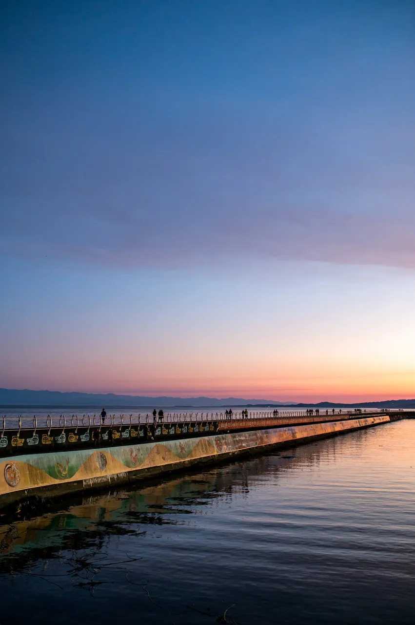 Ogden Point Breakwater at Night with Sky