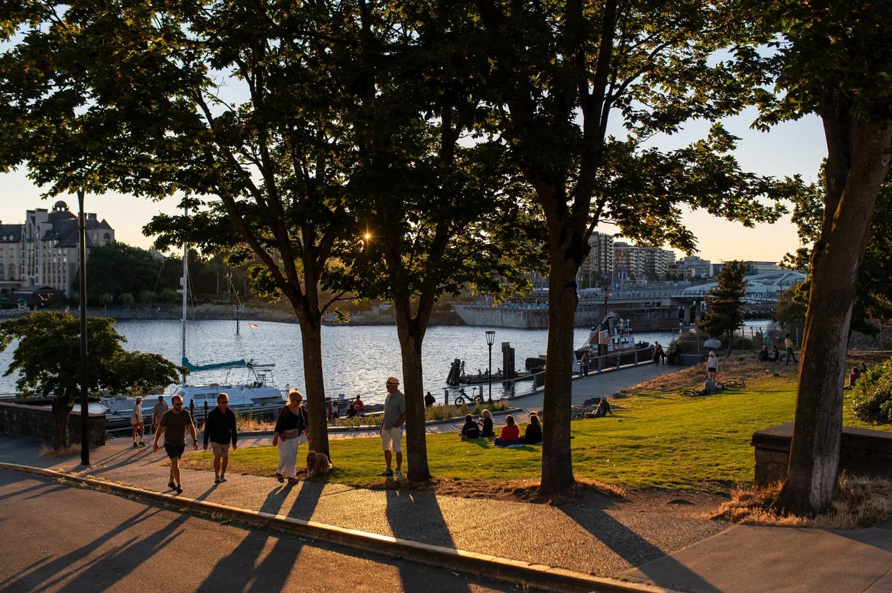 Walkers and Long Tree Shadows at a Harbourside Park