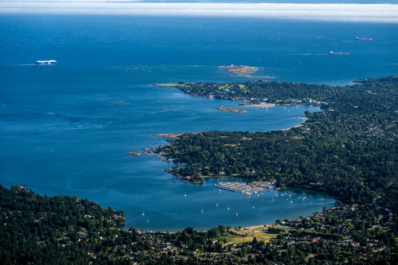 Cadboro Bay Aerial with Ocean and Trees