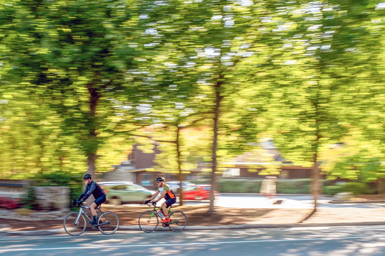 People cycling on street - 6