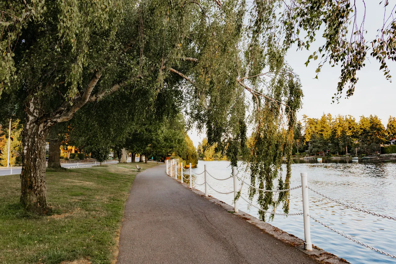 Peaceful riverside path beneath overhanging green trees