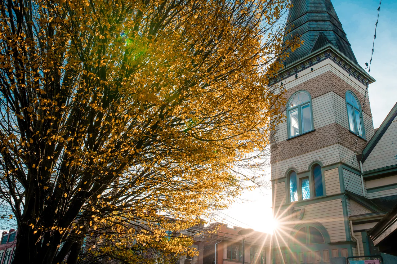 Belfry theatre with fall tree