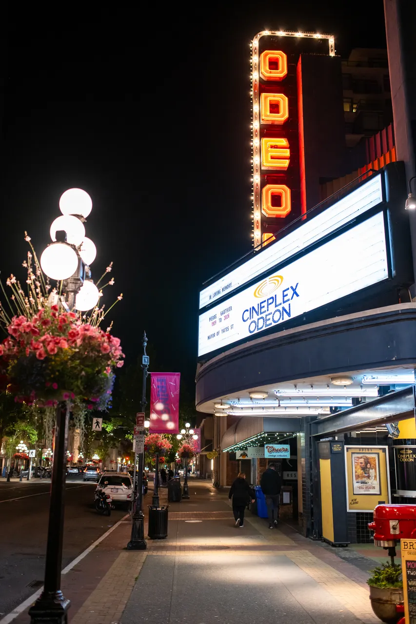 Hanging flower baskets and neon marquee lights along an empty street after dark