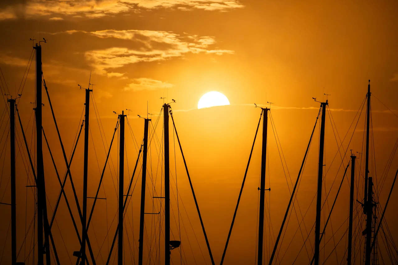 Sun Breaking Through Golden Haze Behind Silhouetted Sailboat Masts