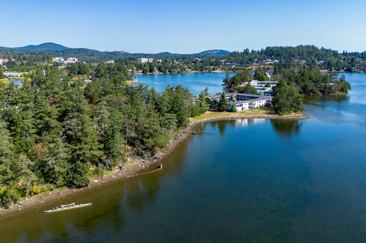 Aerial Photo of Trees, Building and Water During Day