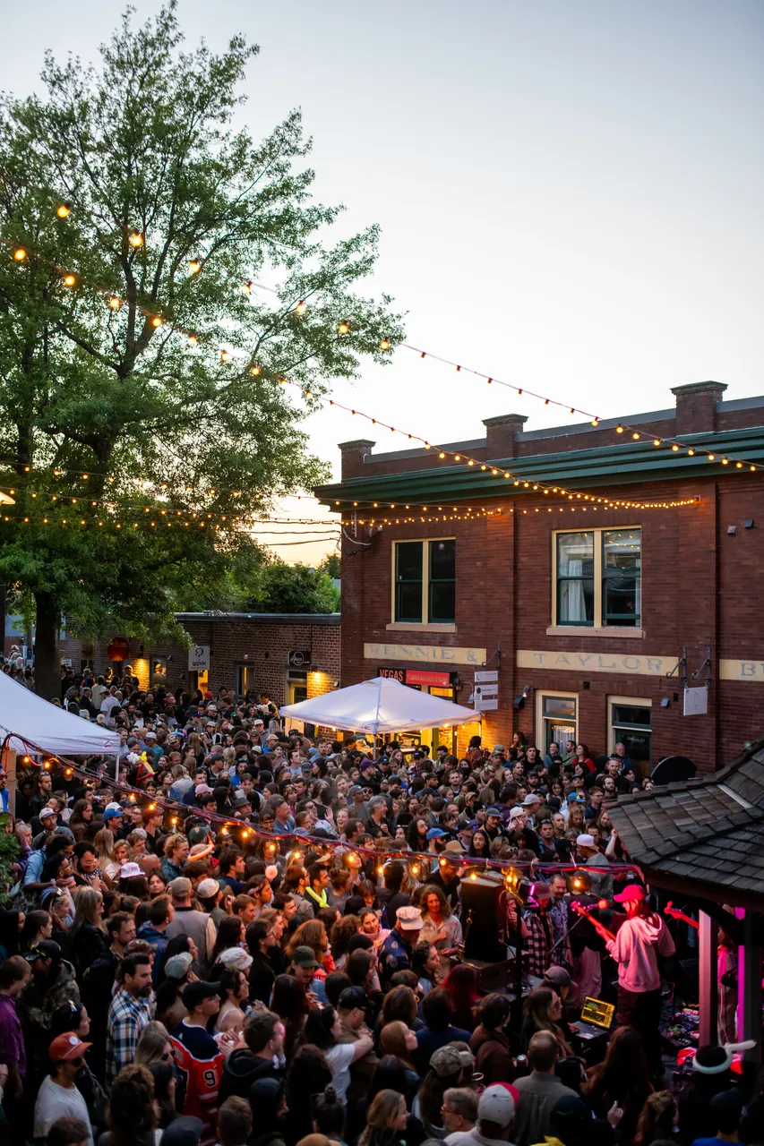 Fernwood Crowd at Concert during Summer