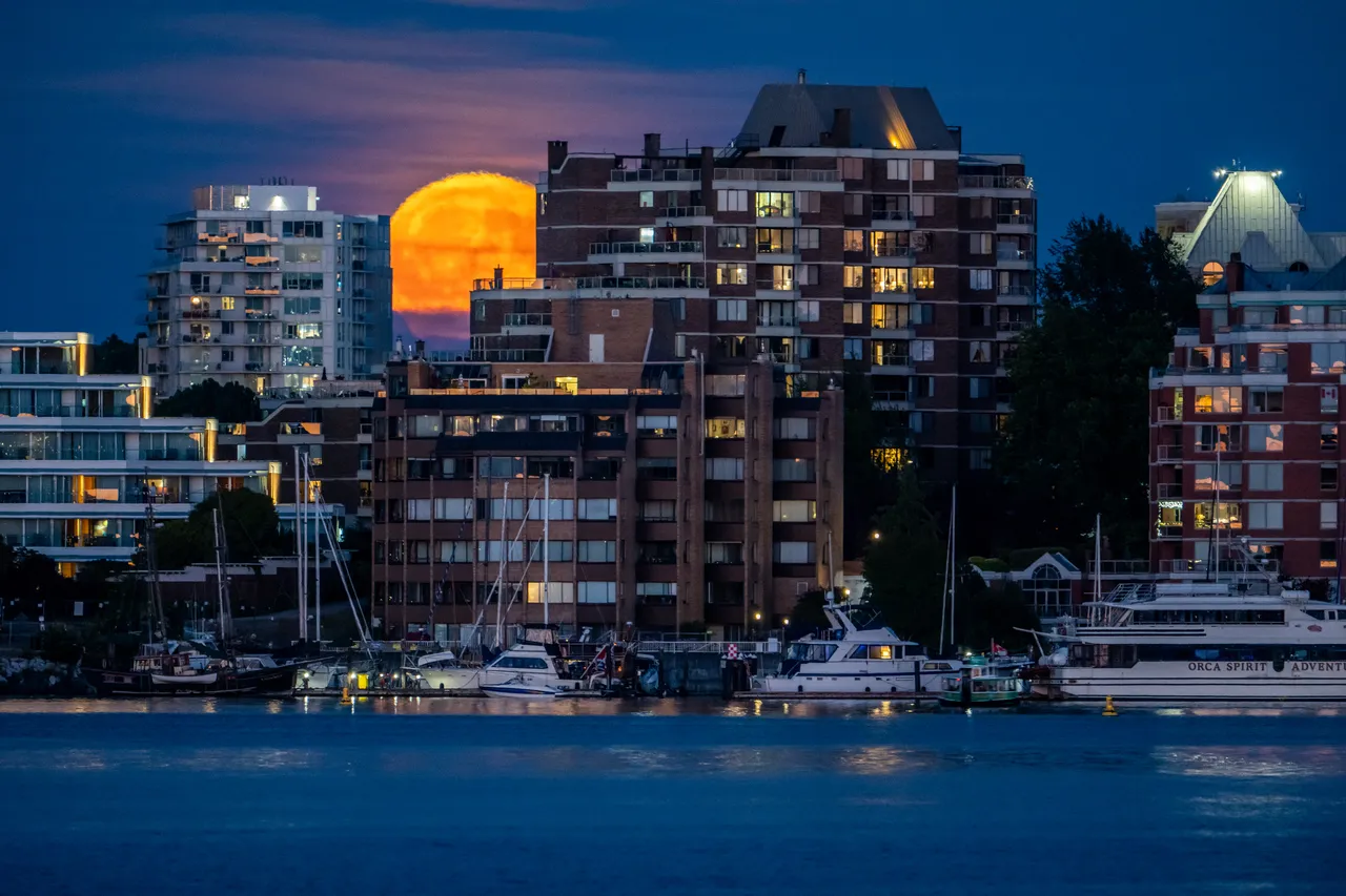 Downtown Victoria Harbour at Night with Moon Rising over Buildings