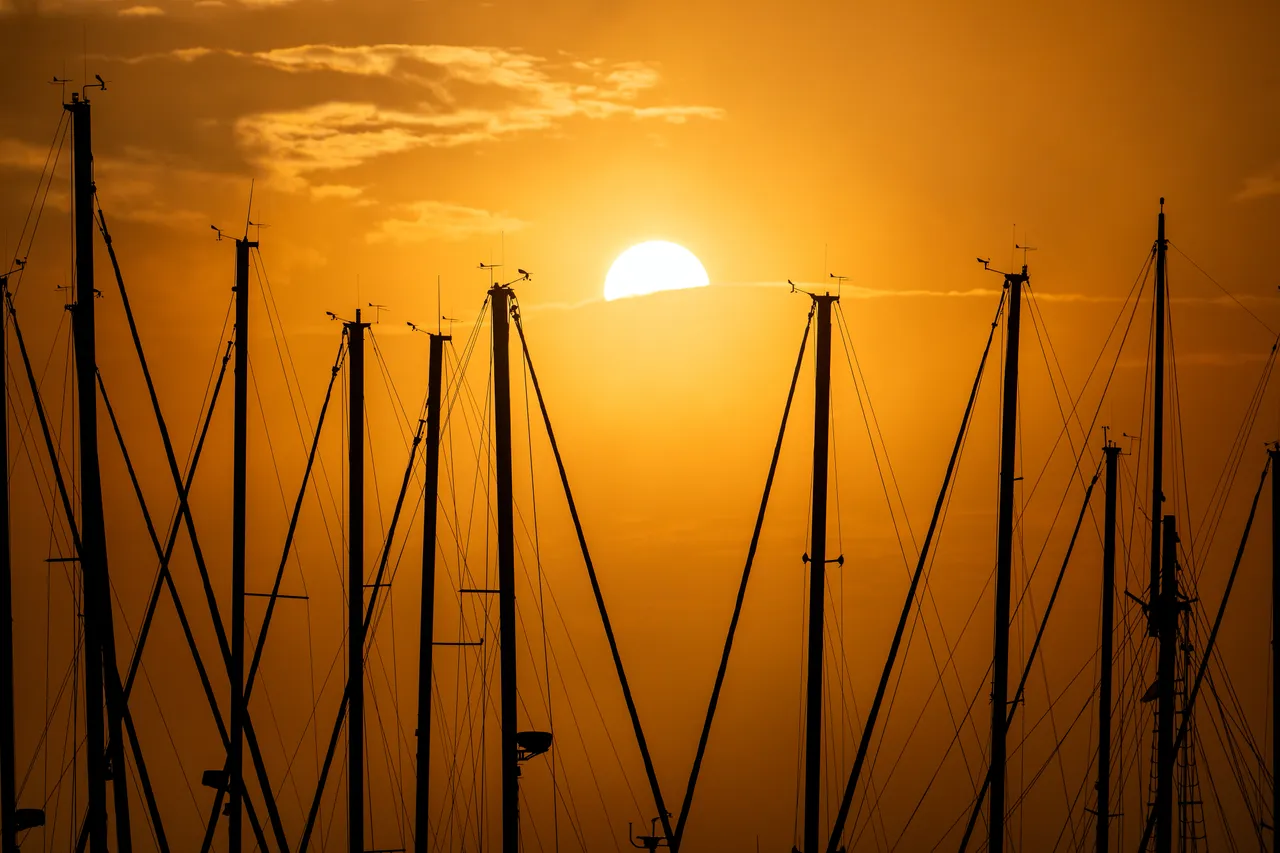 Amber Sunrise Glowing Through a Crowded Marina of Masts