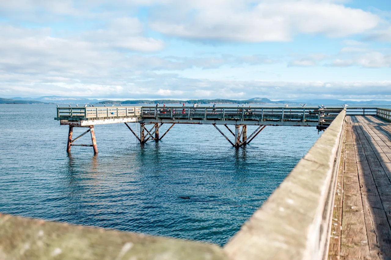 Pier - 1 - Sidney