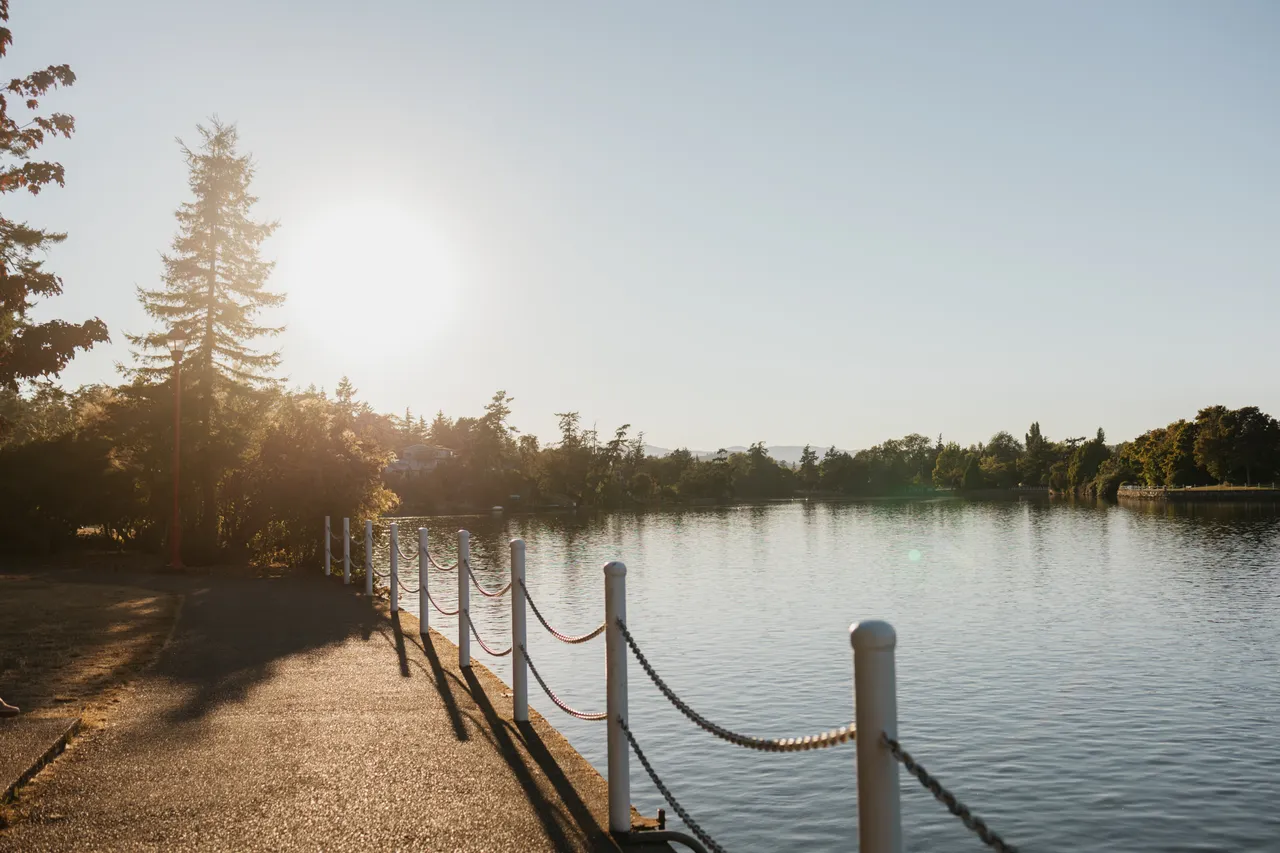 Sunny day near waterfront with fencing and trees on the horizon.