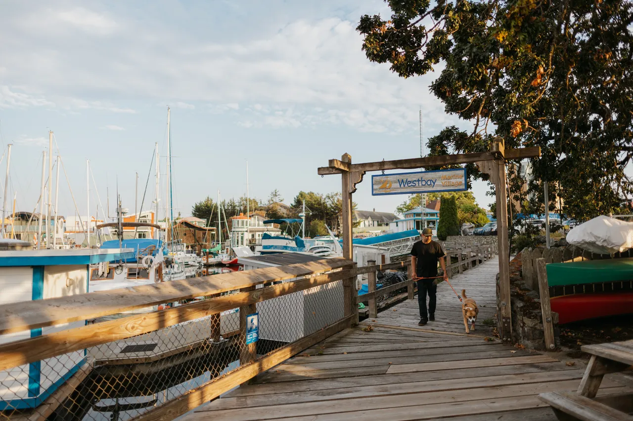 Evening stroll along a sunlit coastal boardwalk with dog