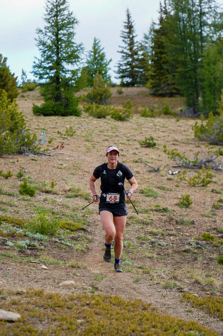 Panorama_WILDness Day 1_2025 (23)