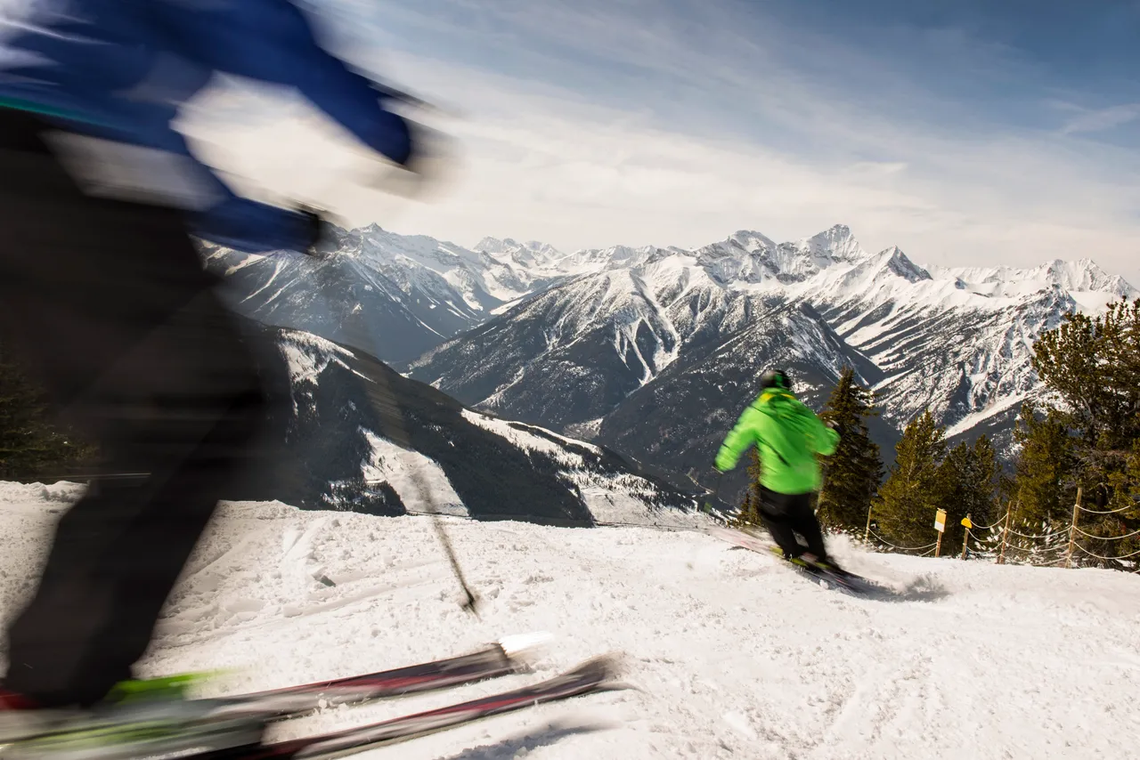 Piste skiing - snowboarding