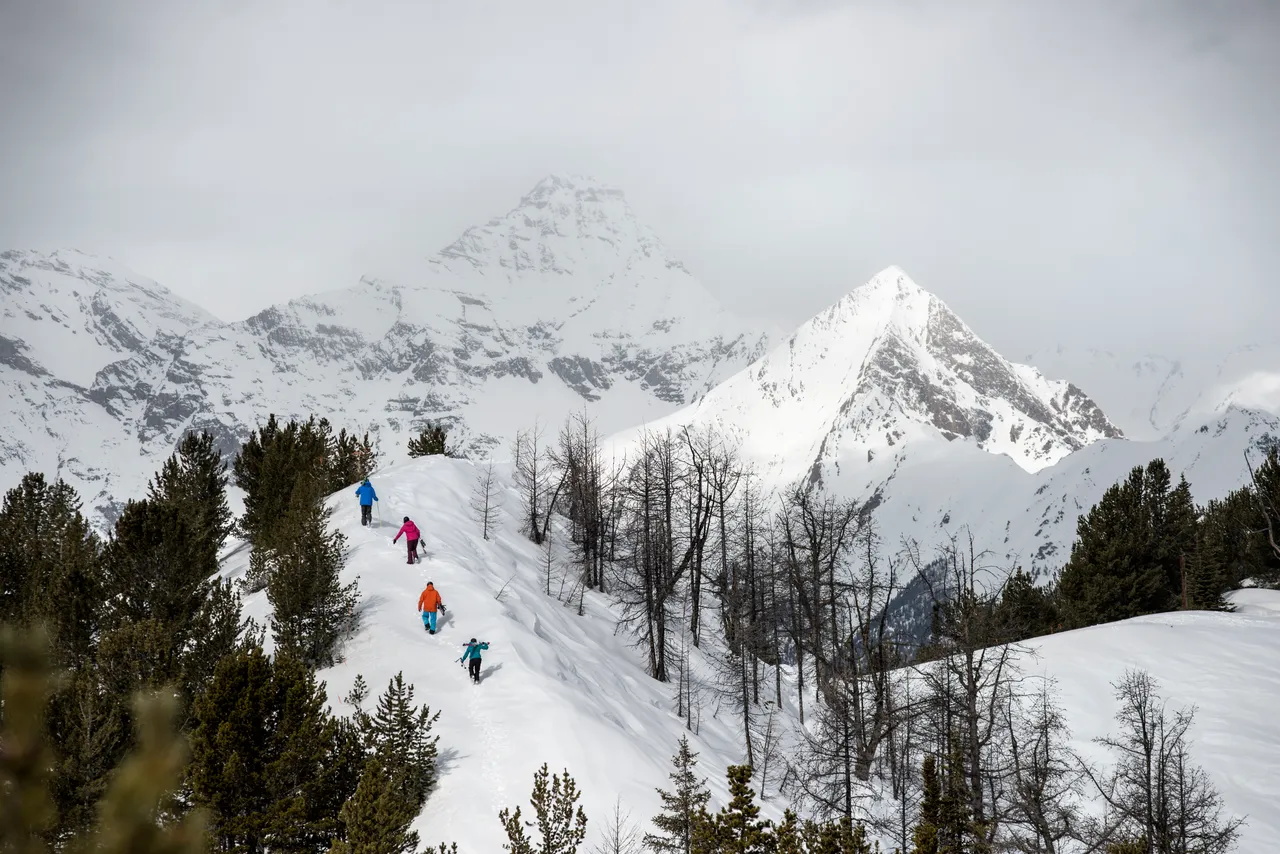 Taynton Bowl