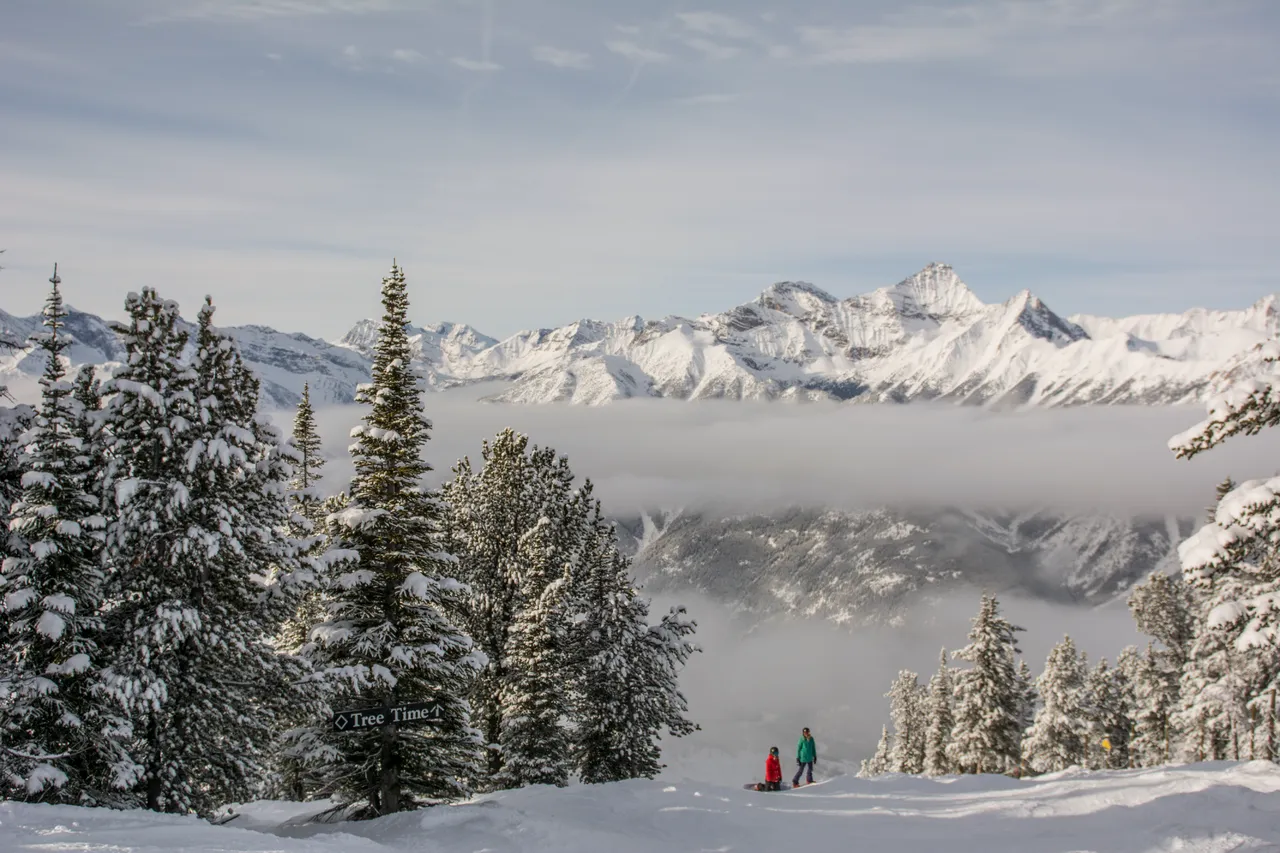 Summit View of Nelson