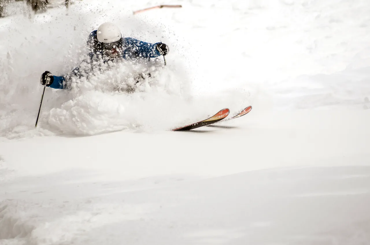 Powder skiing - snowboarding