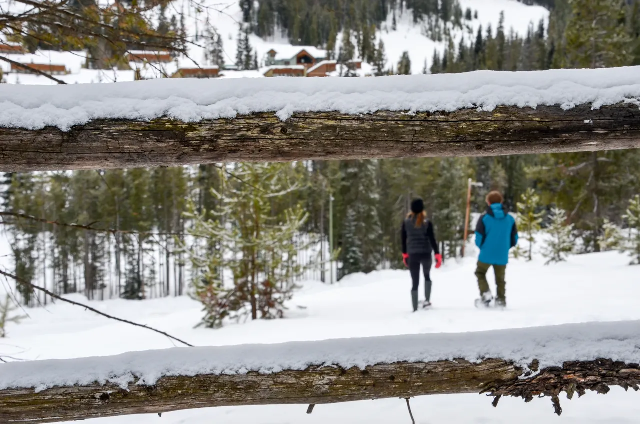 Snowshoeing