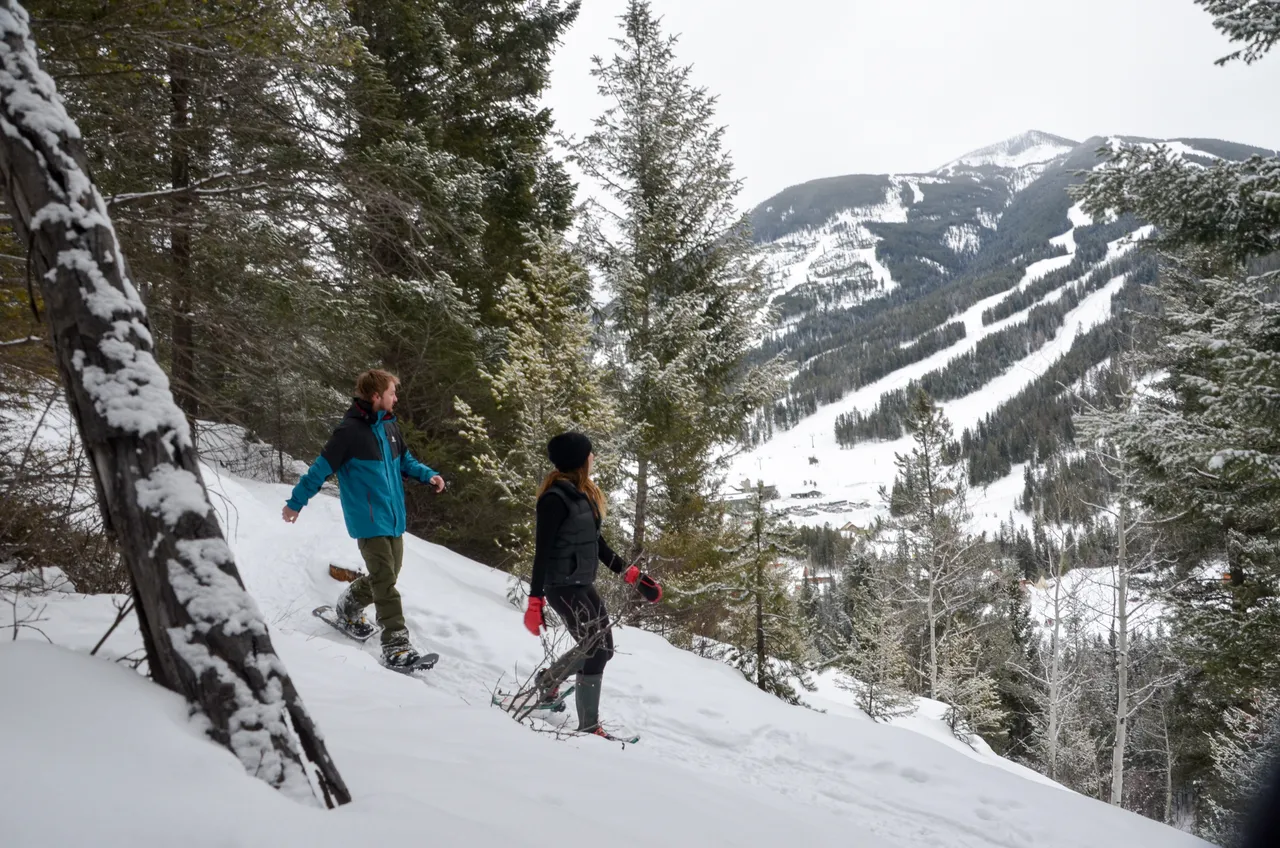 Snowshoeing