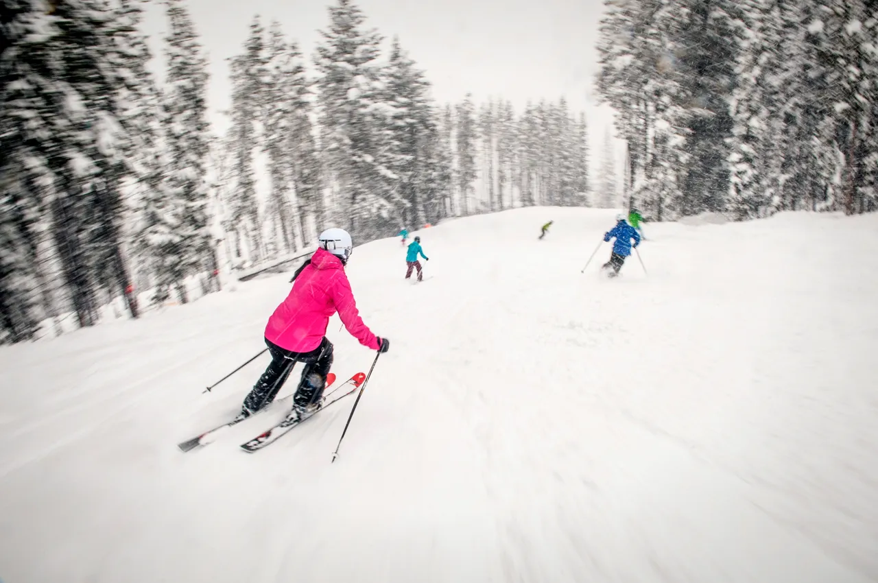 Powder skiing - snowboarding