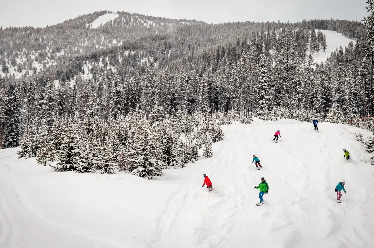 Powder skiing - snowboarding