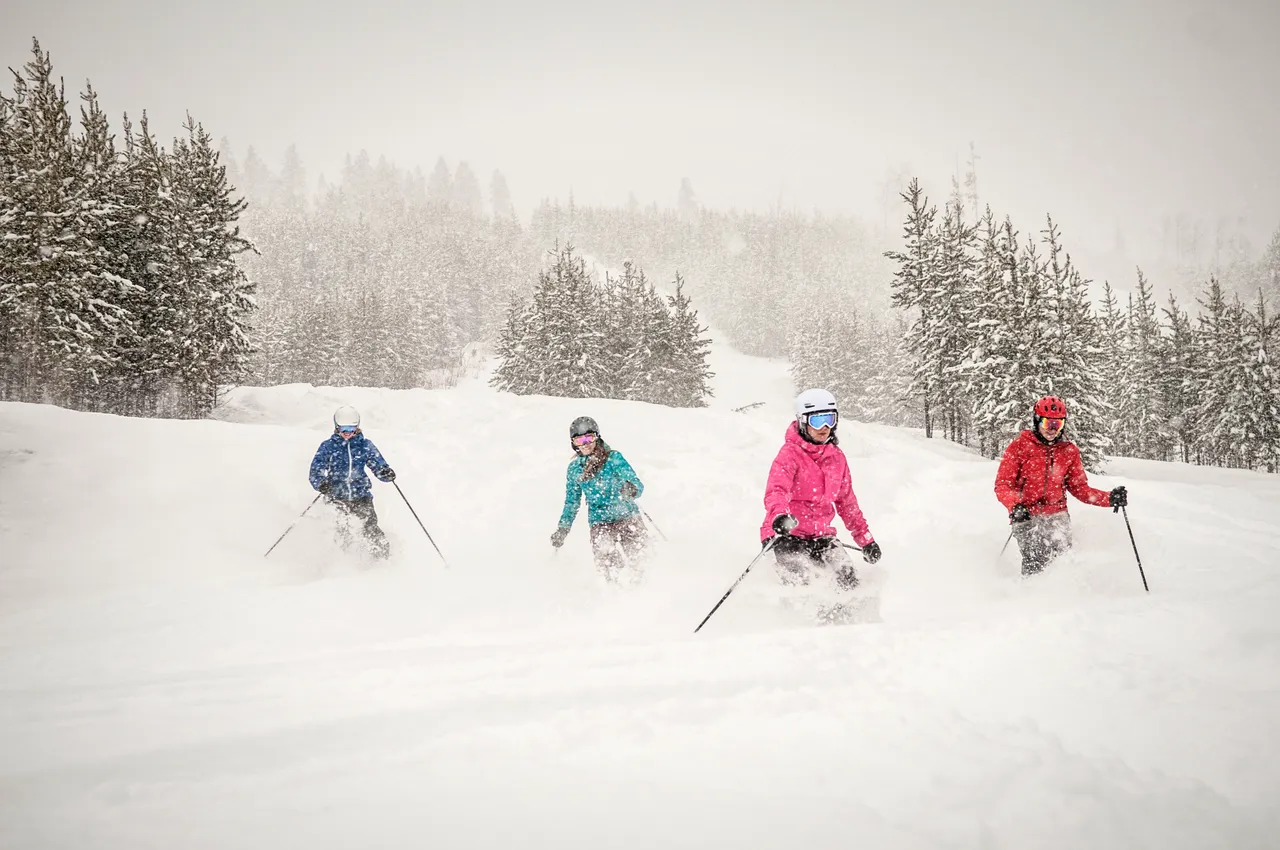 Powder skiing - snowboarding