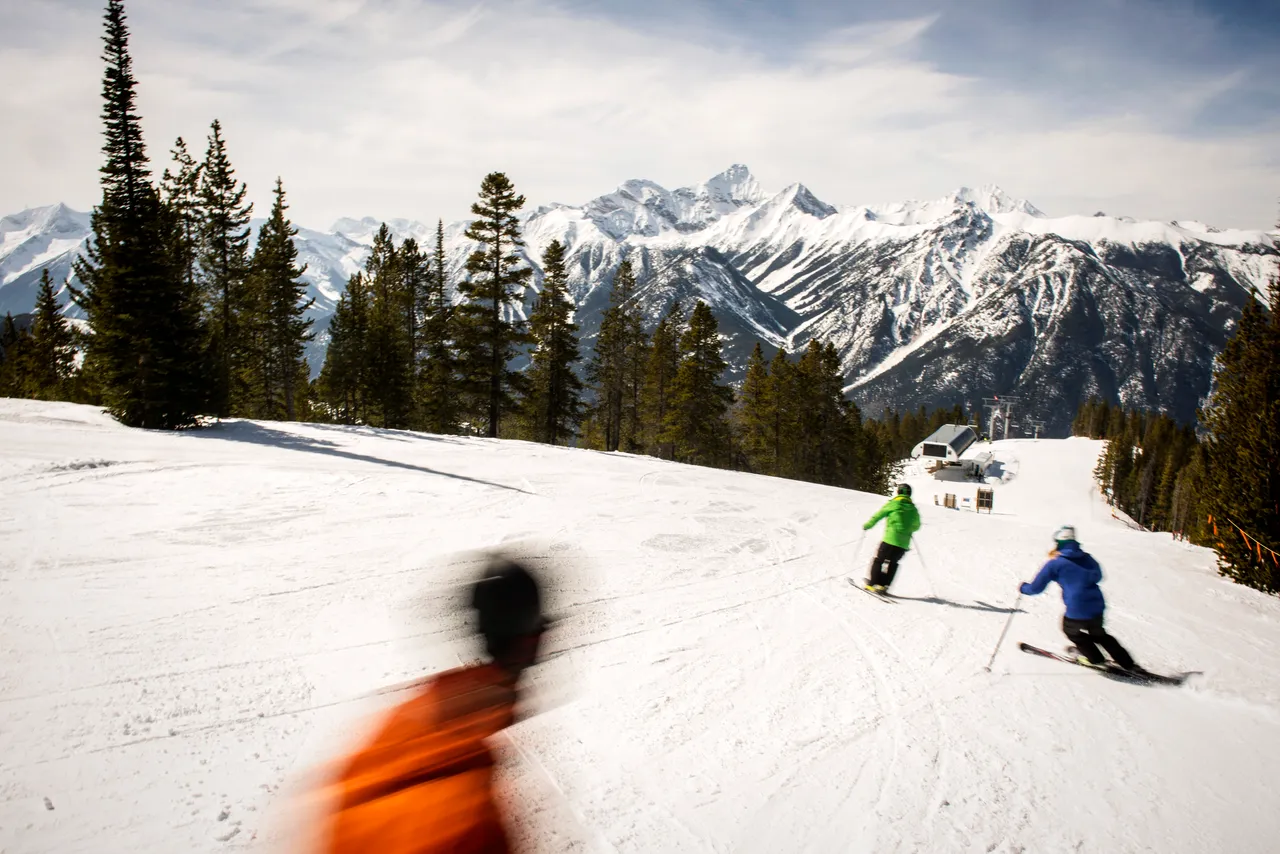 Piste skiing - snowboarding