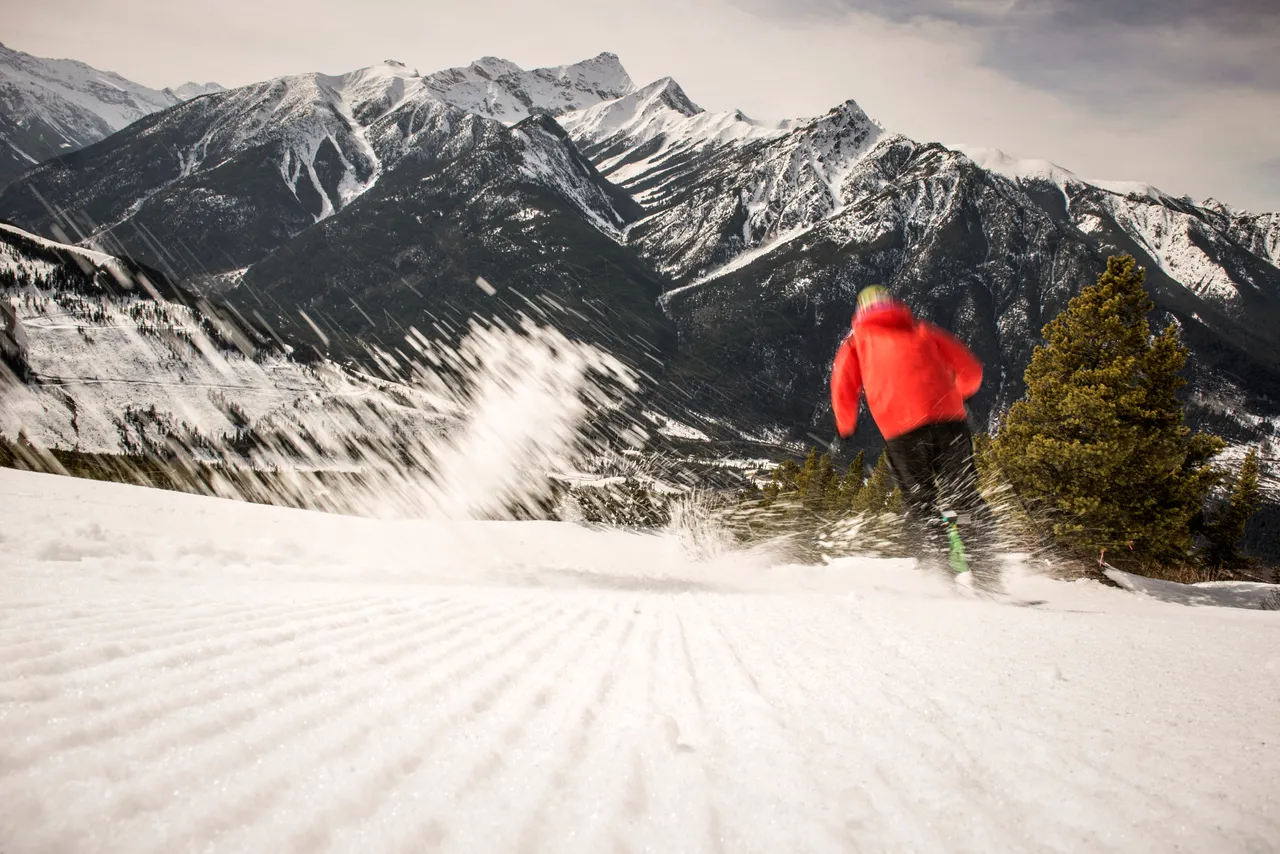 Piste skiing - snowboarding