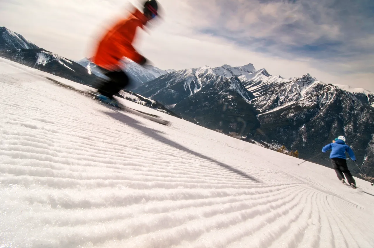 Piste skiing - snowboarding