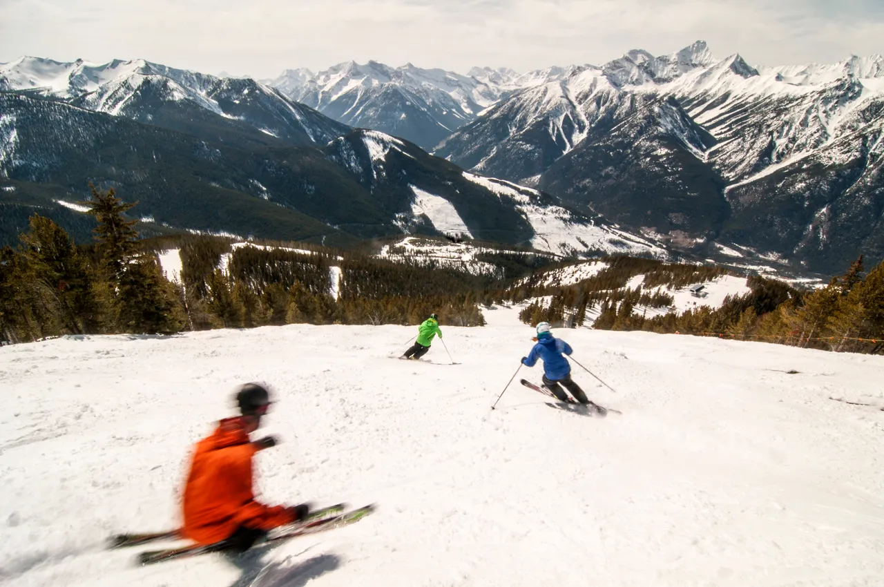 Piste skiing - snowboarding