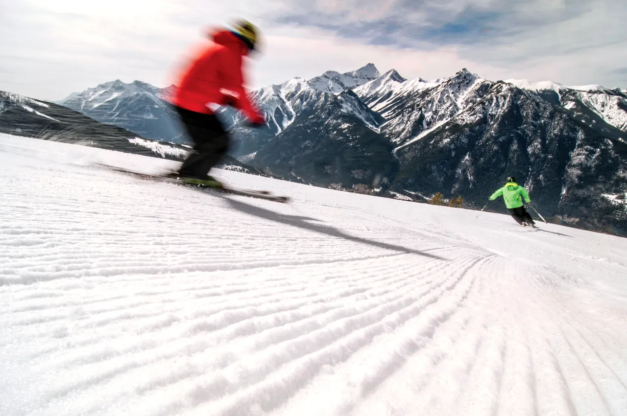 Piste skiing - snowboarding