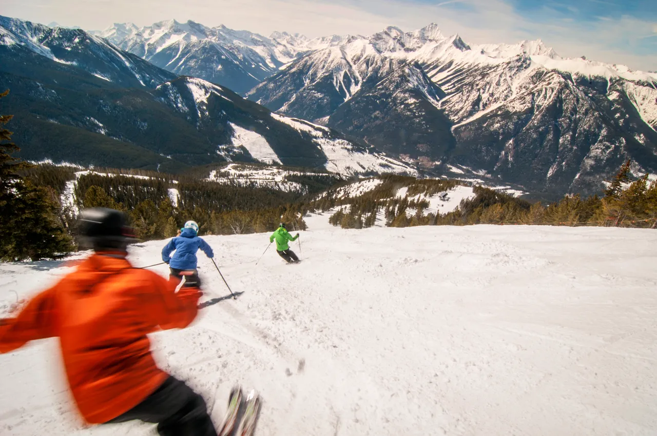 Piste skiing - snowboarding