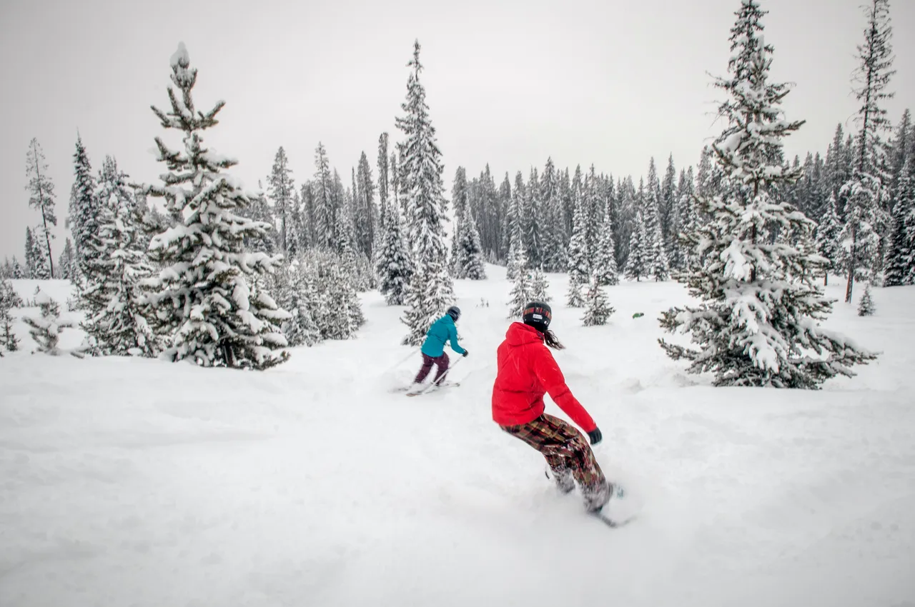 Powder skiing - snowboarding